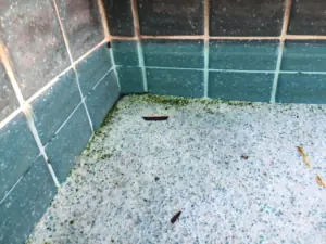 Pool needing resurfacing